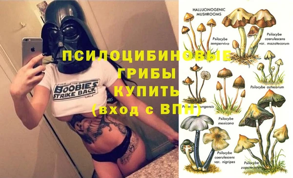 гидропоника Армянск