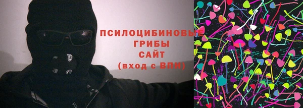 гашик Алексеевка