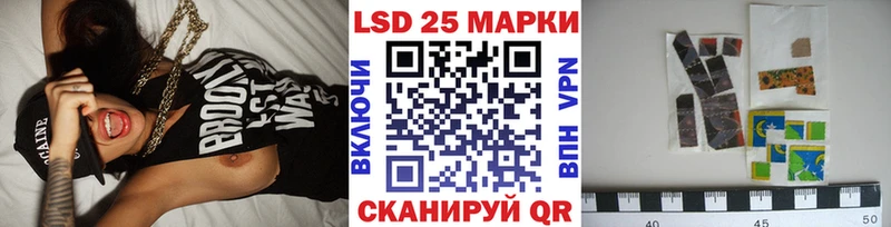 закладка  Истра  Марки N-bome 1500мкг 