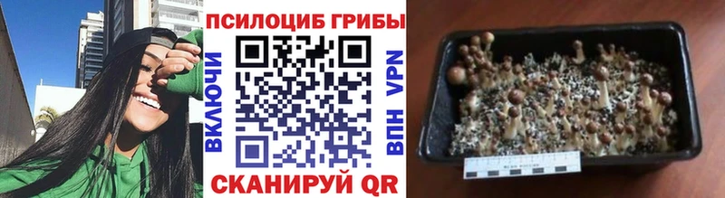Псилоцибиновые грибы мухоморы  наркота  Истра 